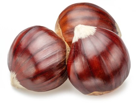Photo for Edible sweet chestnuts isolated on white background. Great food background for your progects. - Royalty Free Image