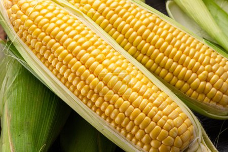Foto de Cabezas de maíz maduras con bigotes de maíz y hojas. Niza fondo de cocina vegetal para sus proyectos. - Imagen libre de derechos