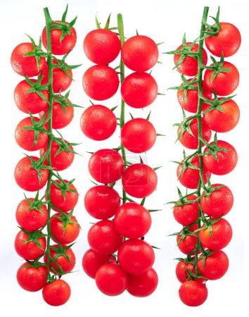 Téléchargez les photos : Trois tomates cerises rouges sur branche avec des gouttes d'eau isolées sur fond blanc. - en image libre de droit