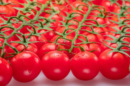 Photo for Lot of red cherry tomato branches covered with small water drops. Food background. - Royalty Free Image