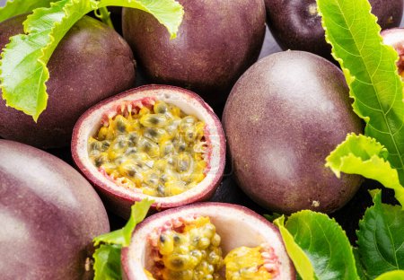 Photo for Ripe passion fruits with passion fruit seeds and passionfruit leaves on a gray stone table. Nice exotic fruit background for your projects. - Royalty Free Image