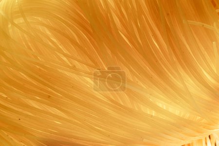 Photo for Italian pasta vermicelli close-up. Food background. - Royalty Free Image