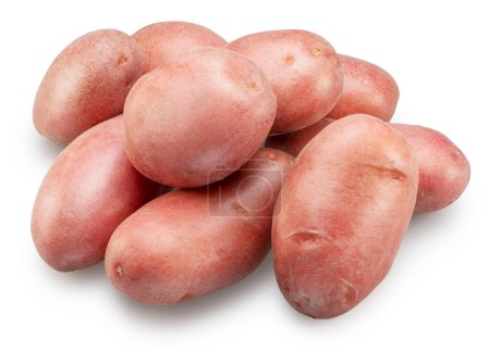 Téléchargez les photos : Pommes de terre à peau rouge isolées sur fond blanc. - en image libre de droit