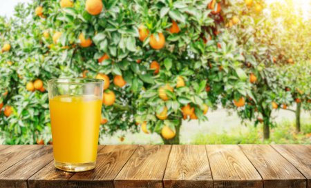 Photo for Glass of orange juice on wooden board or table top and blurred orange orchard. Place your product display. - Royalty Free Image