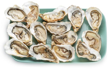 Photo for Opened raw oysters on blue plate top view. Delicacy food. File contains clipping path. - Royalty Free Image