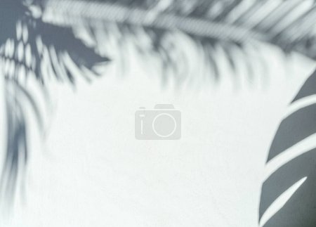 Foto de Sombra borrosa de hojas de palma tropical sobre fondo de pared gris. Concepto de verano. - Imagen libre de derechos