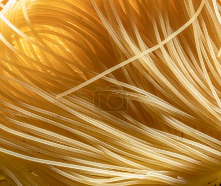 Téléchargez les photos : Pâtes italiennes vermicelli close-up. Contexte alimentaire. - en image libre de droit