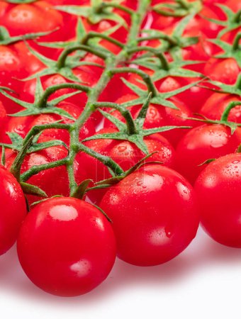 Téléchargez les photos : Lot de branches de tomates cerises rouges recouvertes de petites gouttes d'eau isolées sur fond blanc. - en image libre de droit