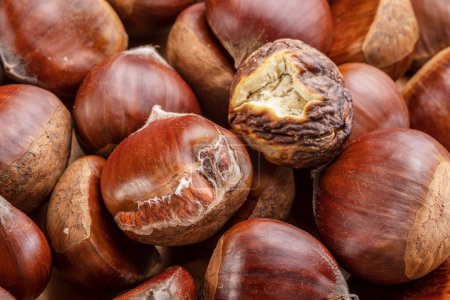 Photo for Edible sweet chestnuts with roasted chestnut. Great food background for your progects. - Royalty Free Image