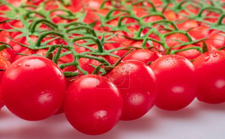 Foto de Lote de ramas de tomate rojo cereza cubiertas con pequeñas gotas de agua aisladas sobre fondo blanco. - Imagen libre de derechos