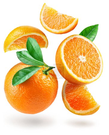 Photo for Ripe orange fruits and orange slices levitating in air on white background. File contains clipping path. - Royalty Free Image