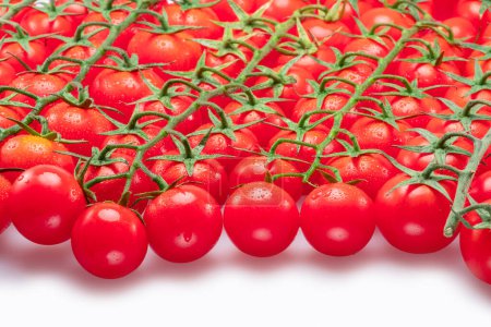 Téléchargez les photos : Lot de branches de tomates cerises rouges recouvertes de petites gouttes d'eau isolées sur fond blanc. - en image libre de droit