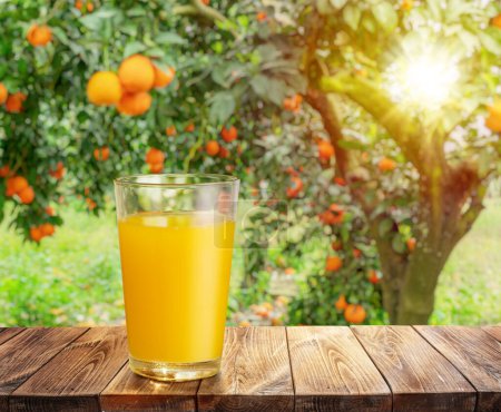 Foto de Vaso de jugo de naranja sobre tabla de madera o mesa y huerto de naranja borrosa. Coloque la pantalla de su producto. - Imagen libre de derechos