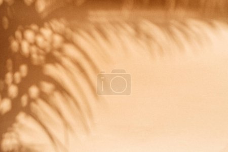 Photo for Blurred shadow of tropical palm leaves on orange wall background. Summer concept. - Royalty Free Image