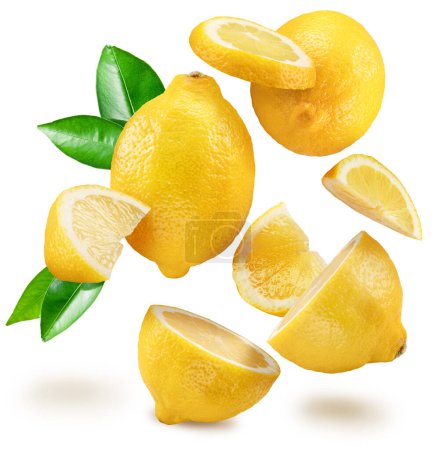 Foto de Frutos de limón maduros con hojas levitando en el aire sobre fondo blanco. El archivo contiene ruta de recorte. - Imagen libre de derechos