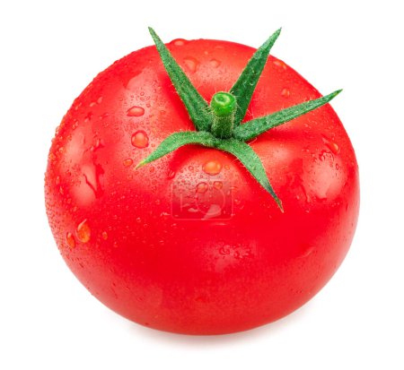Téléchargez les photos : Tomate rouge fraîchement lavée recouverte de gouttes d'eau sur fond blanc. - en image libre de droit