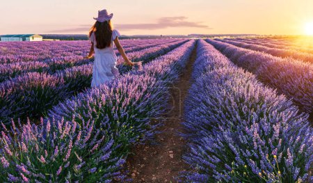 Photo for Young girl walking between lavender bushes in the field. Stunning sunset sky at the background. Brihuega, Spain. - Royalty Free Image