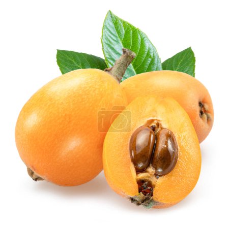 Ripe perfect loquats fruits with green leaves isolated on white background.