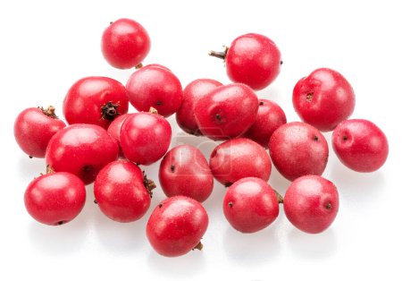 Fresh pink peppercorns isolated on white background.