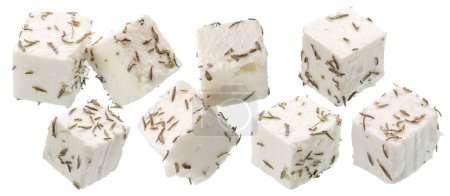 Sammlung von Feta-Käsewürfeln mit Oregano oder Thymiankraut auf weißem Hintergrund. Datei enthält Schnittpfade.