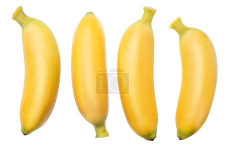 Foto de Colección de plátanos bebé sobre fondo blanco. El archivo contiene rutas de recorte. - Imagen libre de derechos