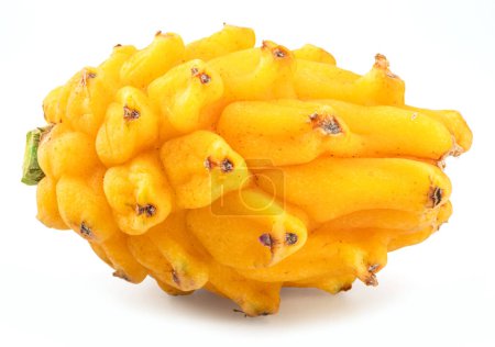 Foto de One yellow dragon fruit isolated on white background. - Imagen libre de derechos