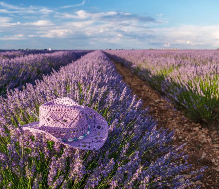 Sombrero de sol violeta sobre arbusto de lavanda en el campo de lavanda en flor. Brihuega, España.