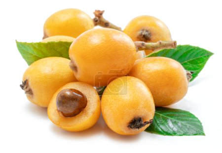 Loquats fruits with green leaves isolated on white background.