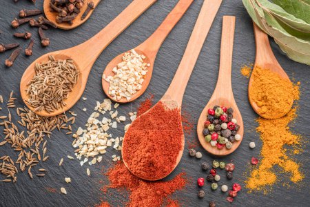 Photo for Various types of spices on wooden spoons on a gray stone table, great food background for your projects. - Royalty Free Image