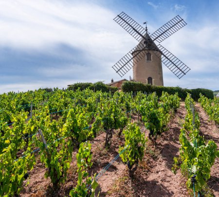 Téléchargez les photos : Le moulin éponyme du célèbre vin rouge français situé près de Romaneche-Thorins. - en image libre de droit