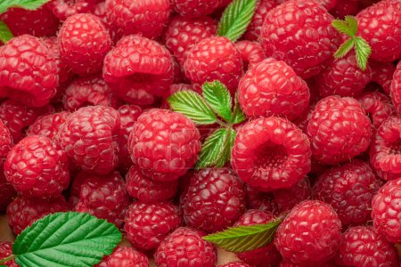 Photo for Fresh red ripe raspberries. Raspberries background. - Royalty Free Image