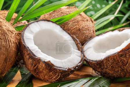 Cocos frescos abiertos junto con cocos enteros y hojas de coco en una mesa de madera. Niza fruta exótica fondo para sus proyectos.