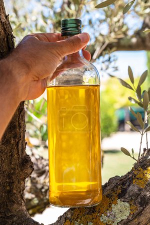 Eine Flasche Olivenöl steht auf einem Olivenzweig im Garten. Unklarer Hintergrund der Natur.