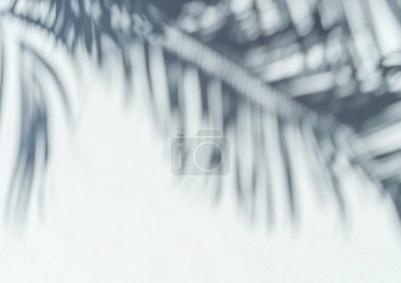 Foto de Sombra borrosa de hojas de palma tropical sobre fondo de pared gris. Concepto de verano. - Imagen libre de derechos