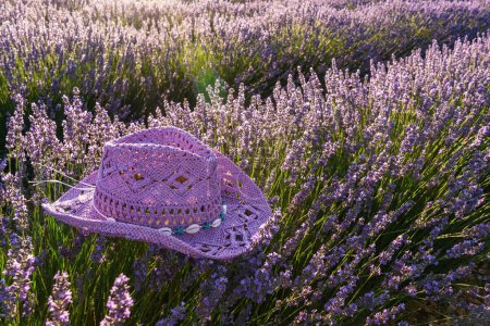 Photo for Violet sun hat over lavender bush in the lavender field in blossom. Brihuega, Spain. - Royalty Free Image