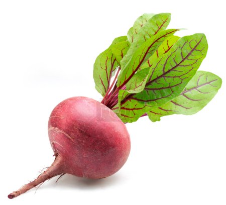Red beetroot with greens isolated on white background. 