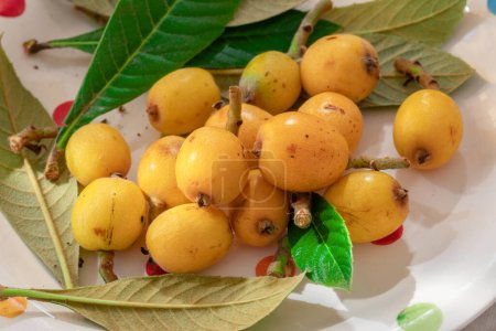 Loquats fruits with green leaves on plate close up.