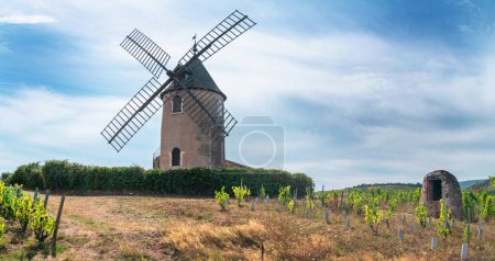 Foto de El molino de viento epónimo de famoso vino tinto francés situado cerca de Romanche Thorins. - Imagen libre de derechos