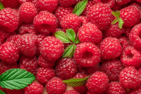 Photo for Fresh red ripe raspberries. Raspberries background. - Royalty Free Image
