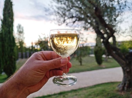 Ein Glas Weißwein in der Hand und verschwommene Sommernatur im Hintergrund.