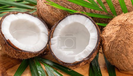 Foto de Cocos frescos abiertos junto con cocos enteros y hojas de coco en una mesa de madera. Niza fruta exótica fondo para sus proyectos. - Imagen libre de derechos