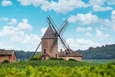 Viñedo o patio de viñas y el molino del mismo nombre de famoso vino tinto francés en el fondo. Romanche-Thorins, Francia.