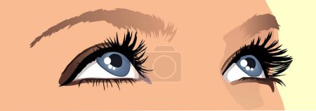 Illustration for Beautiful blue eyes, woman eyes close up. - Royalty Free Image