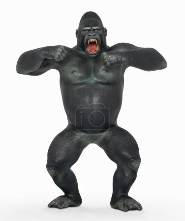 Foto de Gorila enojado contra un fondo blanco - Imagen libre de derechos