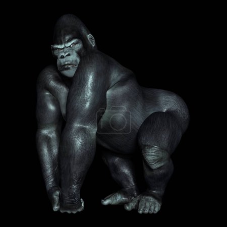 Foto de Gorila sobre un fondo negro - Imagen libre de derechos