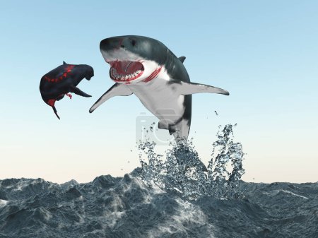 Téléchargez les photos : Grand requin blanc et phoque - en image libre de droit