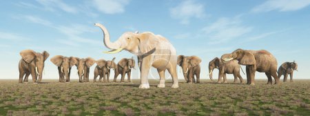 Téléchargez les photos : Éléphant blanc dans un troupeau d'éléphants - en image libre de droit