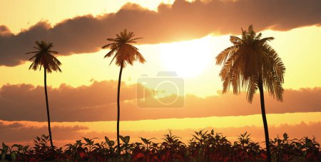 Photo for Tropical landscape at sunset - Royalty Free Image