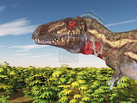 Téléchargez les photos : Chef du dinosaure Nanotyrannus - en image libre de droit