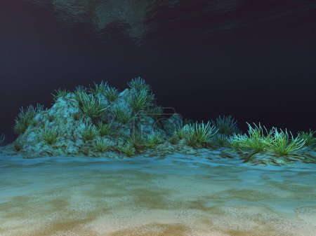 Underwater landscape with corals
